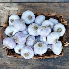 Chesnok Red Garlic