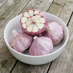 Chesnok Red Garlic
