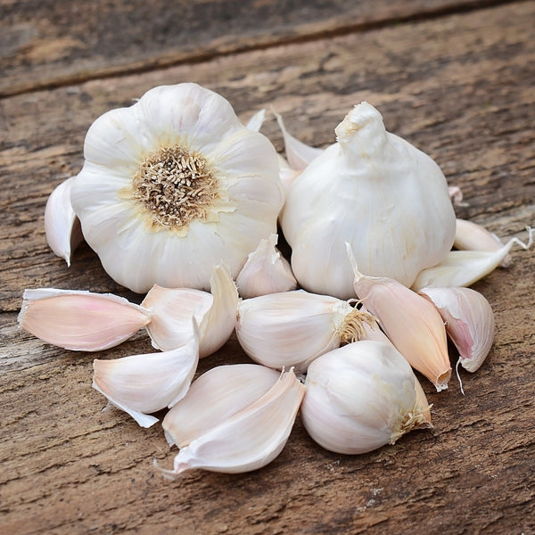 Silver White Garlic