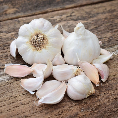 Silver White Garlic