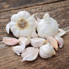 Silver White Garlic