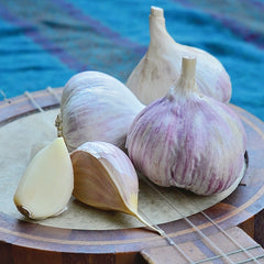 Music Garlic