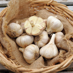 Premium Northern White Garlic