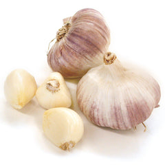 Metechi Garlic