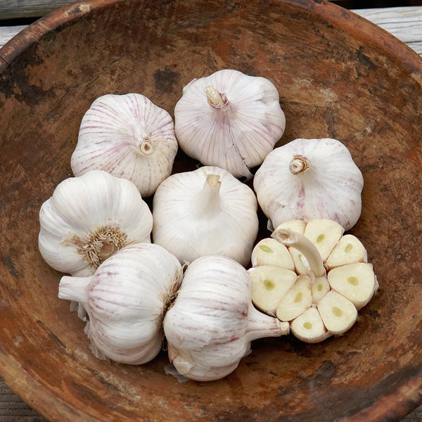 Vietnamese Red Garlic