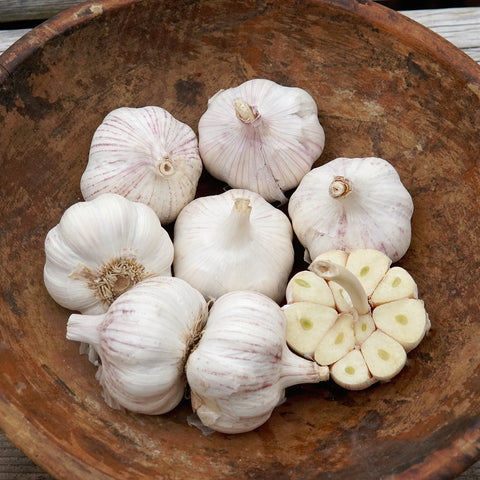 Vietnamese Red Garlic
