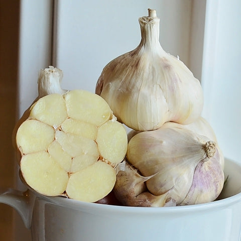 Lorz Italian Garlic