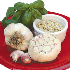 Western Rose Garlic