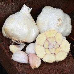 Western Rose Garlic