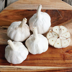 Ukrainian Red Garlic