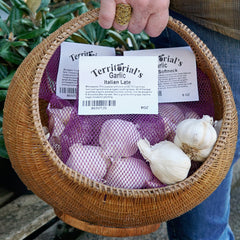 The Braiding Bunch Garlic