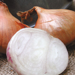 Santé Shallot Bulb