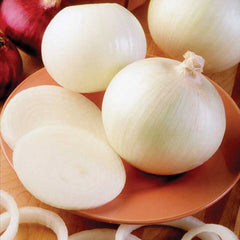 Ringmast Onion Plants