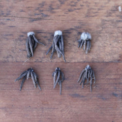 Ranunculus Bulbs Red Corms Growing Bonsai Roots Rhizomes Tubers Potted Planting Reblooming Fragrant Garden Species Blooms Flower Seeds Plant Gardening - Seedsplant