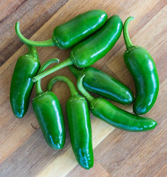 Jalapeno M Pepper 50 Seeds