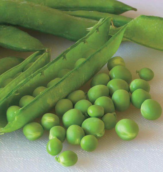 Green Arrow shelling peas