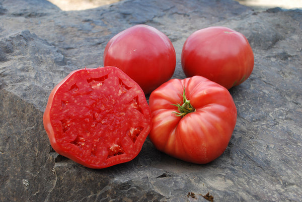 Heat-Tolerant & Disease-ResistantMortgage Lifter Organic Tomato 20 Seeds