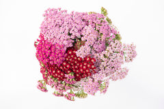 Flowerburst Fruit Bowl