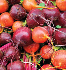 Beet Blend Seeds for Planting