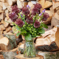 Red Mohican Allium