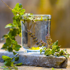 Basil Seeds - Holy