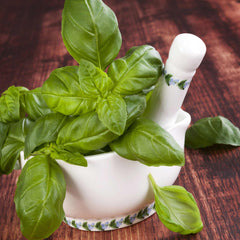 Basil Seeds (Organic) - Genovese