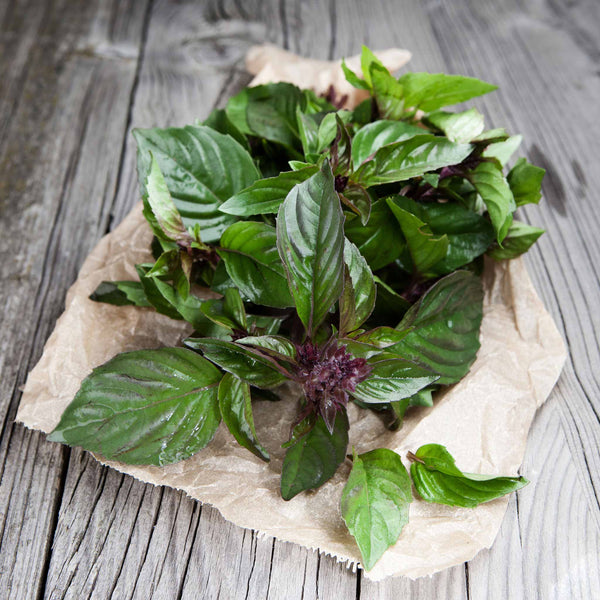 Basil Seeds - Thai