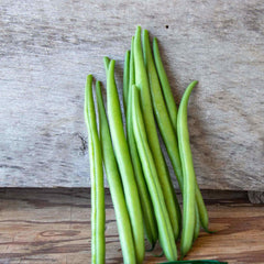 Bean Seeds (Bush) - Elegance