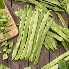 Bean Seeds (Bush) - Romano