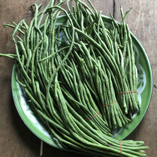 Bean Seeds (Pole) - Orient Wonder