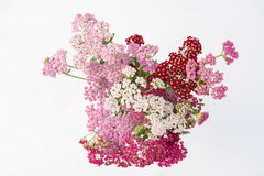 Flowerburst Fruit Bowl