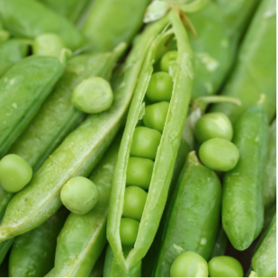 Pea Wando