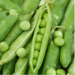 Pea Wando