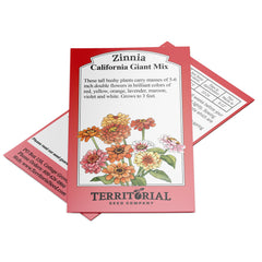 California Giant Mix Zinnia