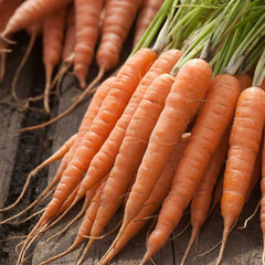 Carrot Seeds (Organic) - Chantenay Red Cored