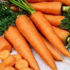 Carrot Seeds (Organic) - Danvers 126