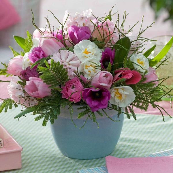 Impressionist Garden Collection Ranunculus  Corms Bulbs Growing Bonsai Roots Rhizomes Tubers Potted Planting Reblooming Fragrant Garden Species Blooms Flower Seeds Plant Gardening