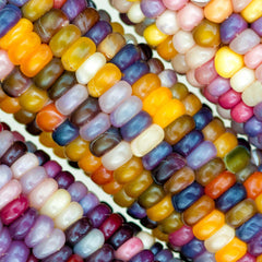 Corn Seeds - Glass Gem
