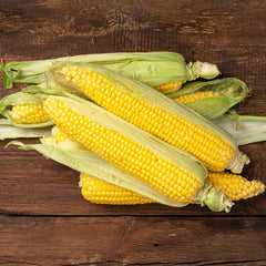 Corn Seeds - Jubilee