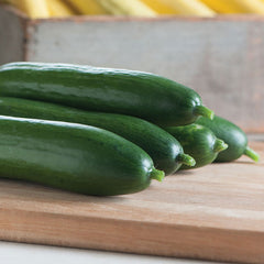 Cucumber Seeds - Diva