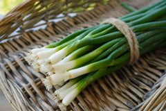 Fukagawa Scallion  500 Seeds - Seedsplant