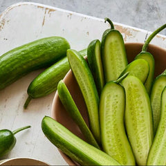 Cucumber, Mini, Party Time Hybrid 1Pkt 30 Seeds