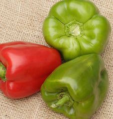 California Wonder 30 Pepper Seeds - Seedsplant