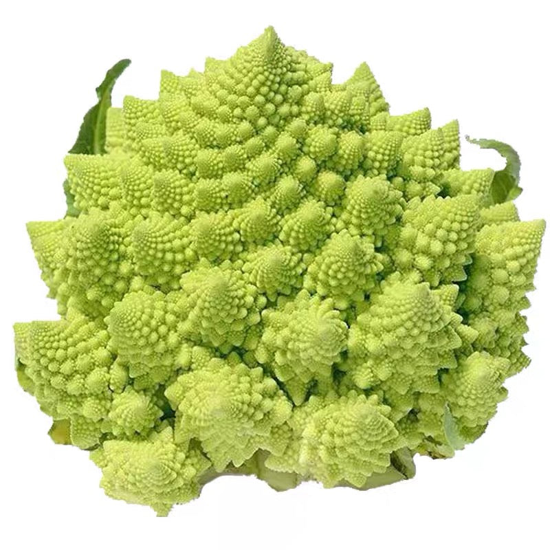 Candid Charm Organic  Cauliflower Real Seeds guaranteed germination