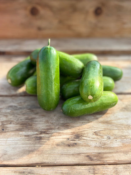 Mini-Me F1 Organic Cucumber 20 Seeds