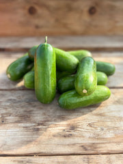 Mini-Me F1 Organic Cucumber 20 Seeds - Seedsplant