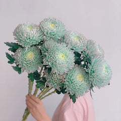 Rare Peony Chrysanthemum