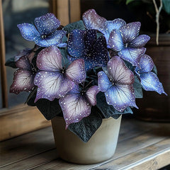Plum Silver Star Begonia Seeds