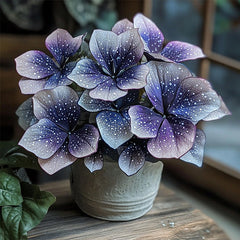 Charming Butterfly Plant Seeds