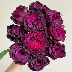 Black Buck Rose Seeds